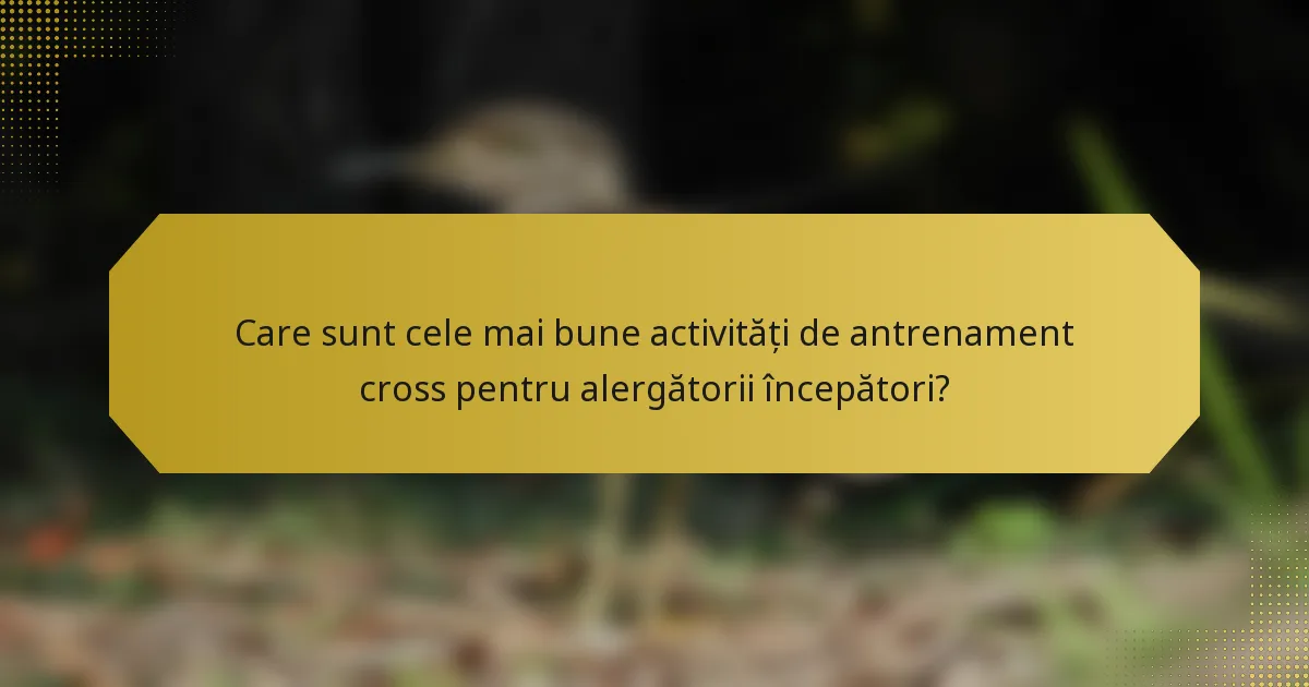 Care sunt cele mai bune activități de antrenament cross pentru alergătorii începători?
