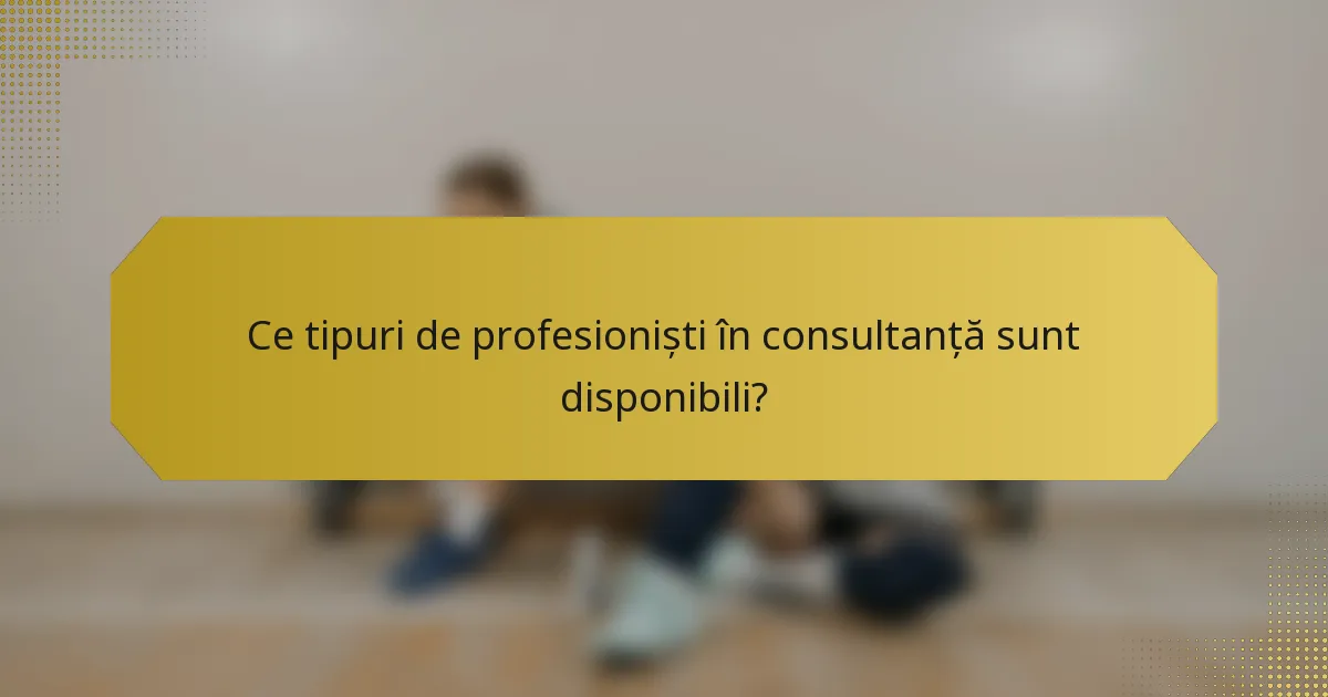 Ce tipuri de profesioniști în consultanță sunt disponibili?