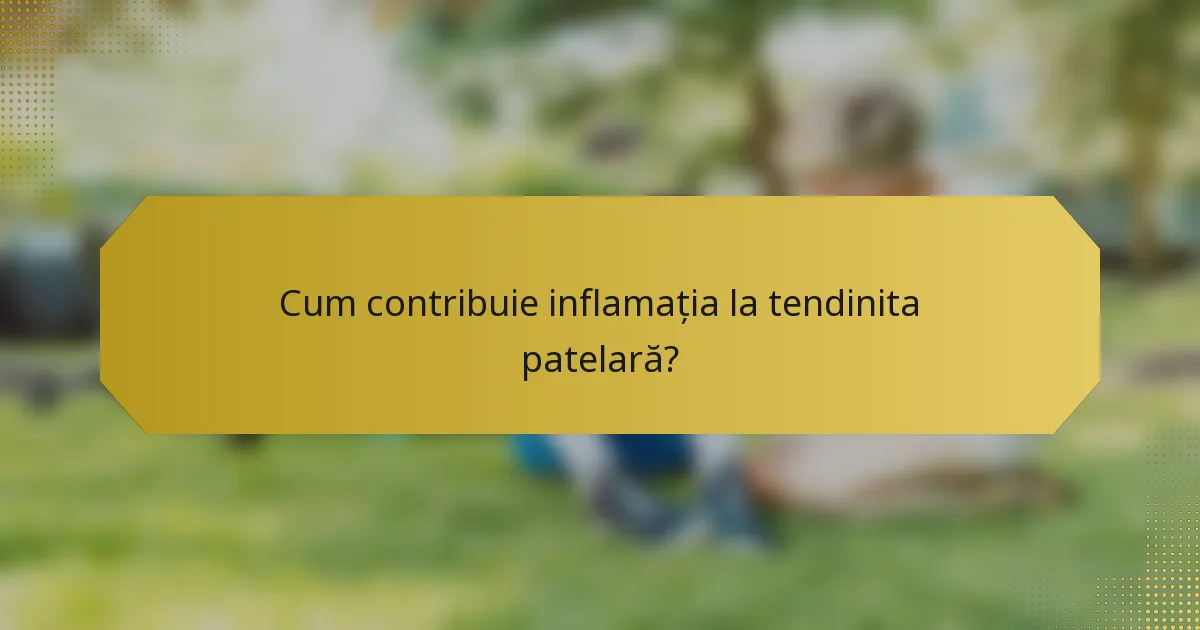 Cum contribuie inflamația la tendinita patelară?