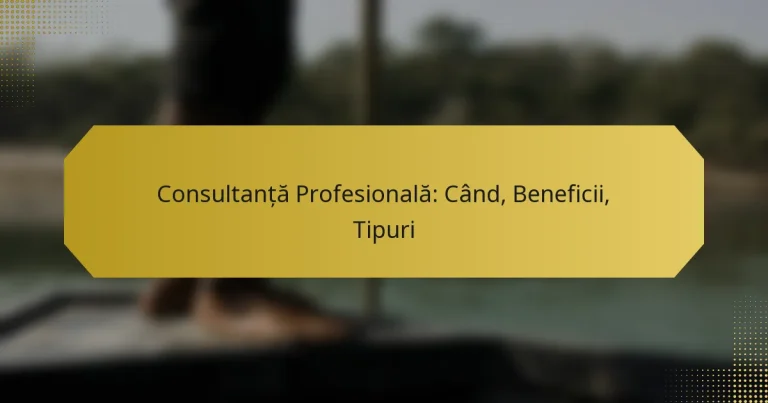 Consultanță Profesională: Când, Beneficii, Tipuri